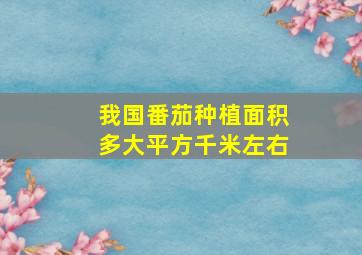 我国番茄种植面积多大平方千米左右