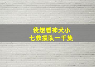 我想看神犬小七救援队一千集