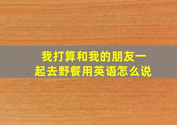 我打算和我的朋友一起去野餐用英语怎么说