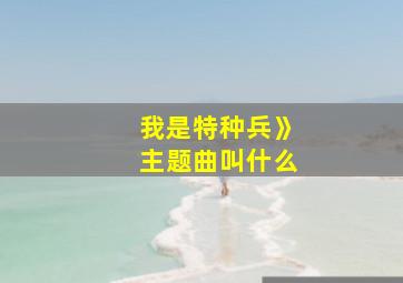 我是特种兵》主题曲叫什么