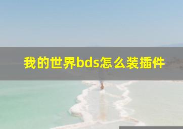 我的世界bds怎么装插件