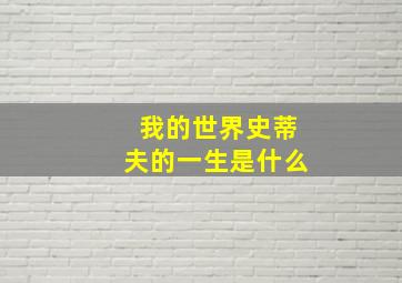 我的世界史蒂夫的一生是什么