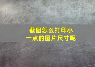 截图怎么打印小一点的图片尺寸呢