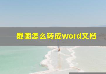 截图怎么转成word文档