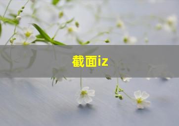 截面iz