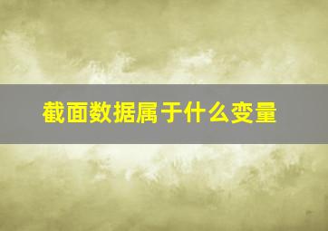 截面数据属于什么变量