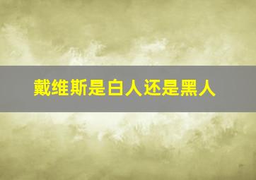 戴维斯是白人还是黑人