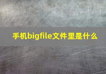 手机bigfile文件里是什么