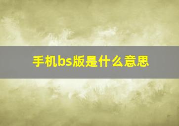 手机bs版是什么意思