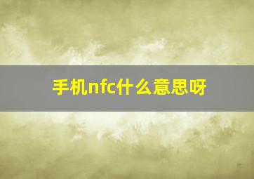 手机nfc什么意思呀