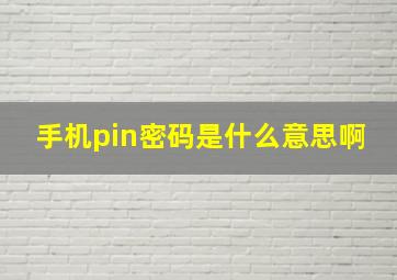 手机pin密码是什么意思啊