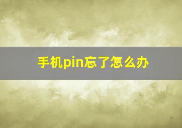 手机pin忘了怎么办