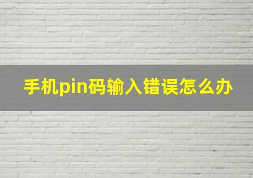 手机pin码输入错误怎么办