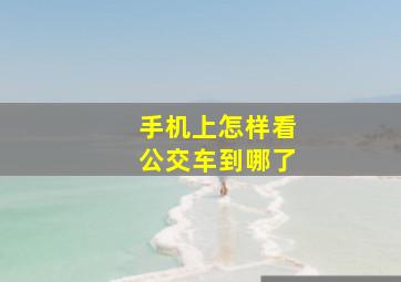 手机上怎样看公交车到哪了