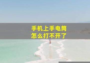 手机上手电筒怎么打不开了