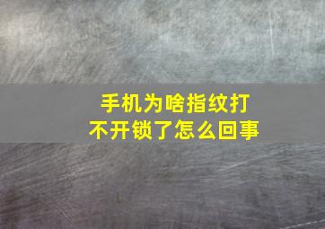 手机为啥指纹打不开锁了怎么回事