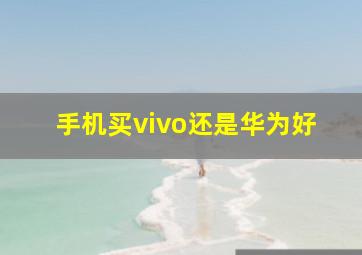 手机买vivo还是华为好