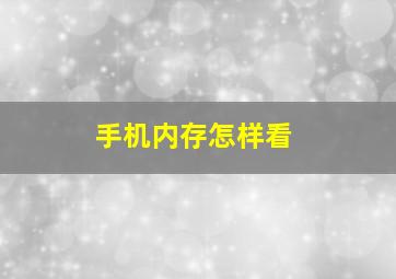 手机内存怎样看