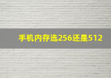 手机内存选256还是512