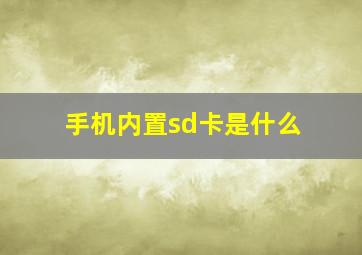 手机内置sd卡是什么