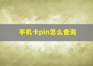 手机卡pin怎么查询