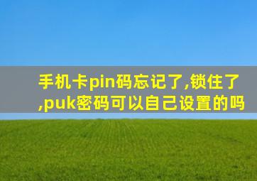 手机卡pin码忘记了,锁住了,puk密码可以自己设置的吗