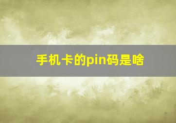 手机卡的pin码是啥