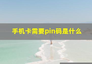 手机卡需要pin码是什么