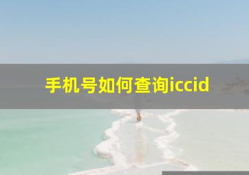 手机号如何查询iccid