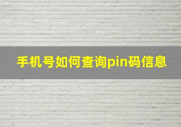 手机号如何查询pin码信息