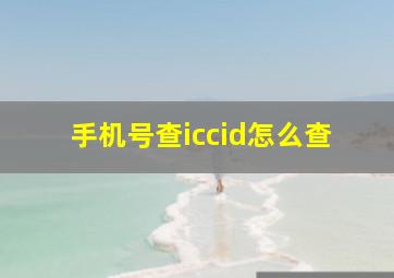 手机号查iccid怎么查