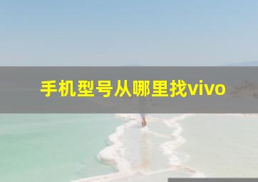 手机型号从哪里找vivo