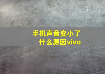 手机声音变小了什么原因vivo