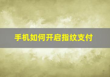 手机如何开启指纹支付