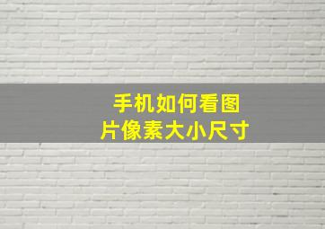 手机如何看图片像素大小尺寸