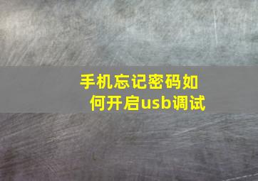 手机忘记密码如何开启usb调试