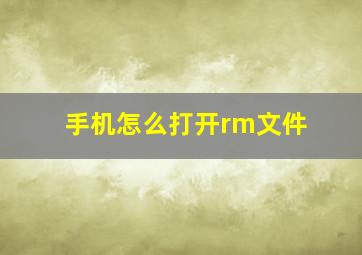 手机怎么打开rm文件