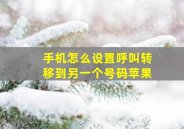 手机怎么设置呼叫转移到另一个号码苹果