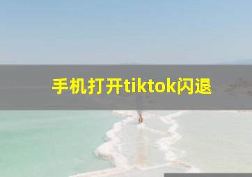 手机打开tiktok闪退