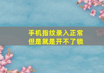 手机指纹录入正常但是就是开不了锁