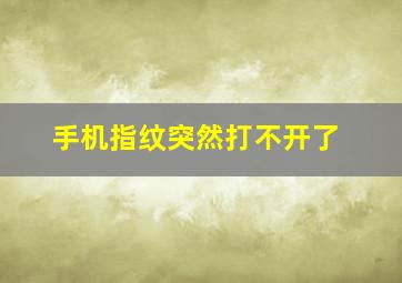 手机指纹突然打不开了