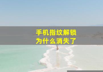 手机指纹解锁为什么消失了