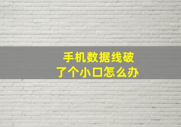 手机数据线破了个小口怎么办