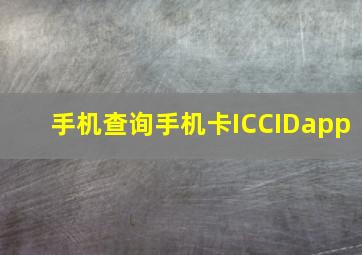 手机查询手机卡ICCIDapp