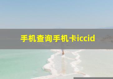 手机查询手机卡iccid