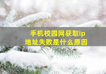 手机校园网获取ip地址失败是什么原因