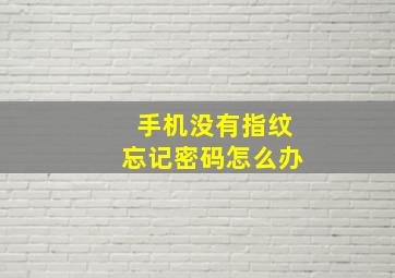 手机没有指纹忘记密码怎么办