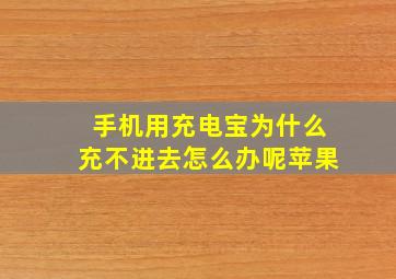 手机用充电宝为什么充不进去怎么办呢苹果