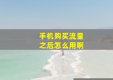 手机购买流量之后怎么用啊