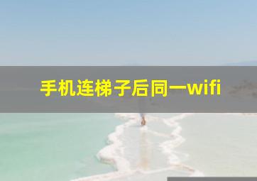 手机连梯子后同一wifi